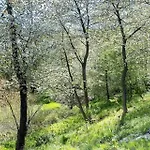 1556-aakirkeby-abrinken-18